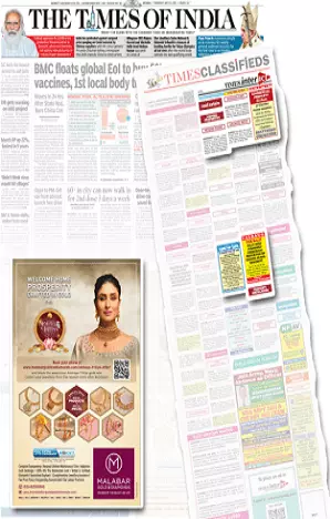 Northeast Express tearsheet proof